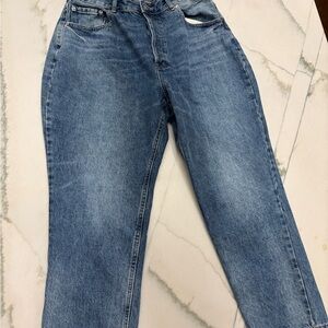 Everlane Cropped Curvy 90s Cheeky Straight Jeans (Size 32)